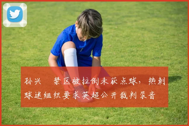 孙兴慜禁区被拉倒未获点球，热刺球迷组织要求英超公开裁判录音